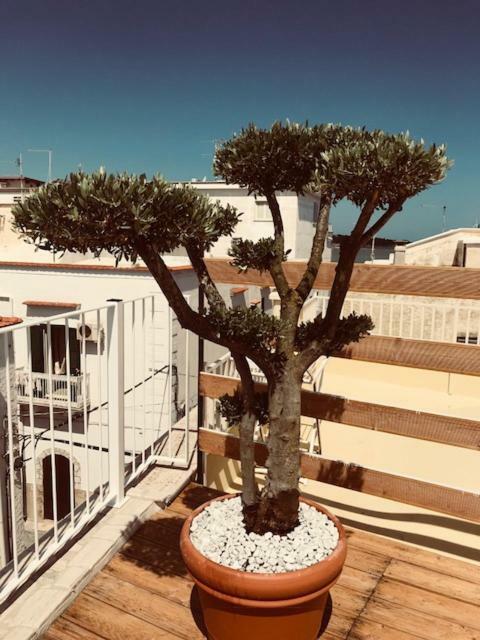 La Casa Al Borgo Daire Vieste Dış mekan fotoğraf